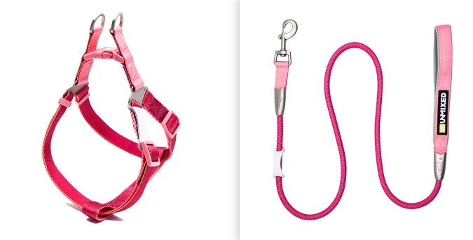 Contrast Color Hand Holding Rope Chest And Back Collar For Going Out