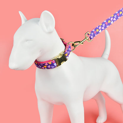 Heavy Industry Double-sided Pet Cat Dog Collar Haulage Rope Package