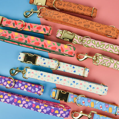 Heavy Industry Double-sided Pet Cat Dog Collar Haulage Rope Package