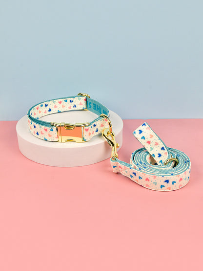 Heavy Industry Double-sided Pet Cat Dog Collar Haulage Rope Package